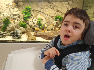 Ein Junge mit braunen Haaren sitzt in einem Rollstuhl vor einem großen Aquarium mit vielen bunten Fischen, Felsen und grünen Pflanzen. Der Junge trägt einen blau-weiß gestreiften Pullover und blickt mit leicht geöffnetem Mund in Richtung Kamera.